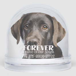 Pet Memorial Sympathy Photo