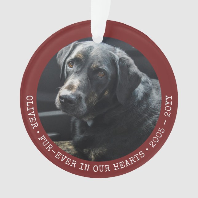 Pet Memory Chat Chien photo Forever Personnalisé (devant)