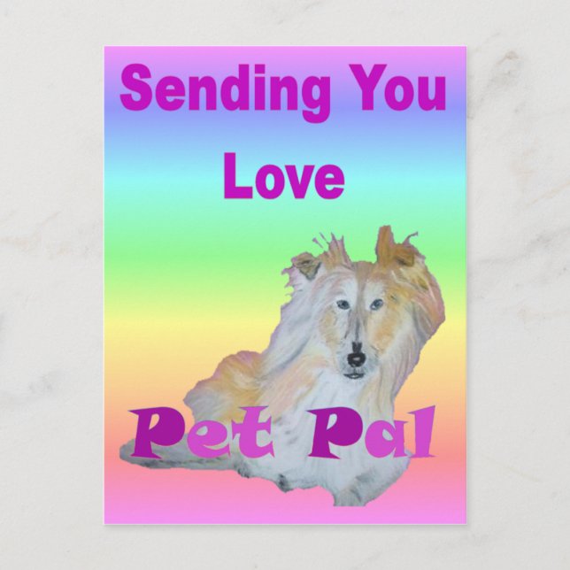 Pet Pal Postkarte (Vorderseite)