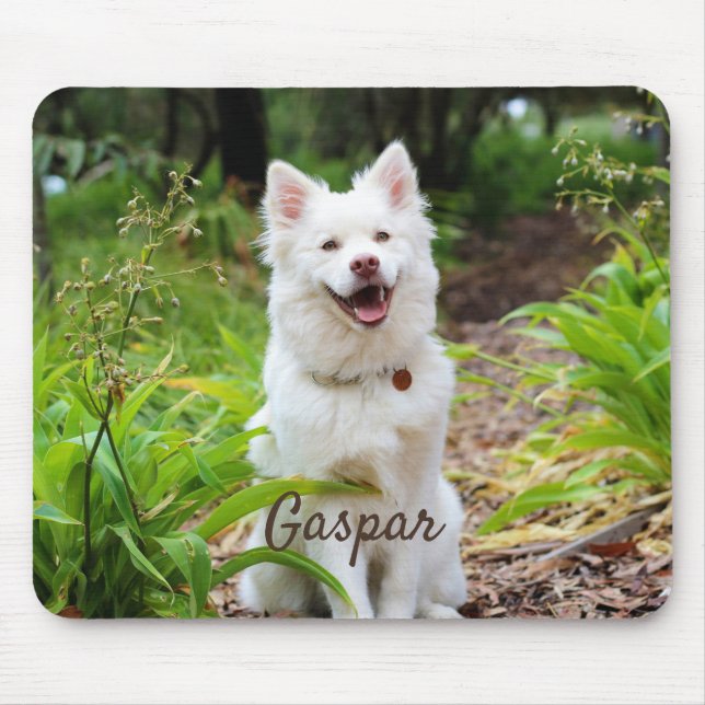Pet Photo And Name Personalized Mousepad (Vorne)