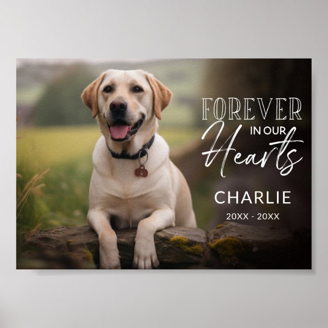 Pet Photo Custom Memorial Poster (Vorne)