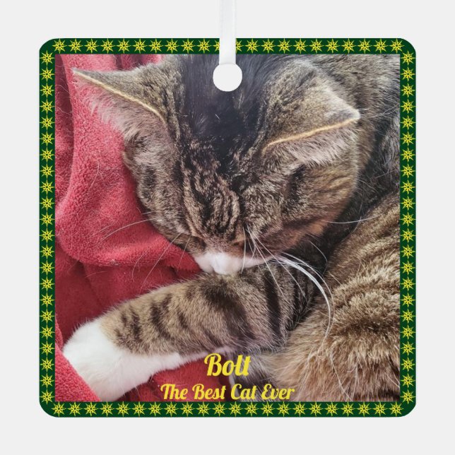 Pet Photo Green Gold Border Name Saying Ornament (Vorderseite)