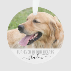 Pet Photo Memorial pour toujours dans nos coeurs