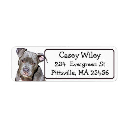 Pet Pitbull Chien Étiquette de adresse