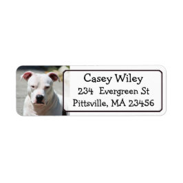 Pet Pitbull Chien Étiquette de adresse