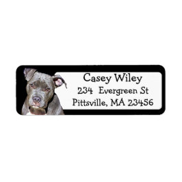 Pet Pitbull Chien Étiquette de adresse