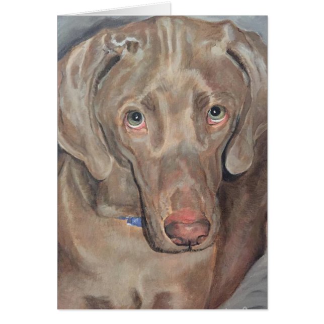 Pet Portrait - Weimaraner (Vorne)