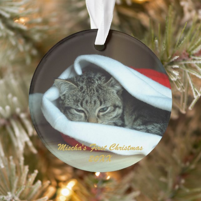 Pet Premier Noël (Arbre)
