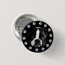 Pet Puppy Hund Foto Pfoten Rahmen rund gebrochen F Button