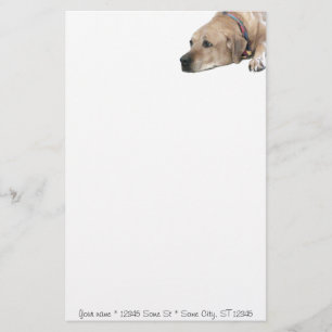 Pet Rhodesian Ridgeback Dog Picture Briefpapier