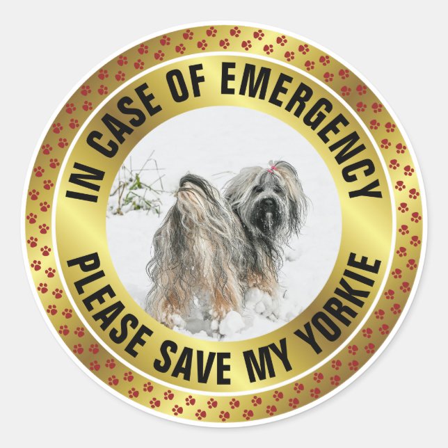 Pet Safety Alert Custom First Responder Dog Photo Runder Aufkleber (Vorderseite)