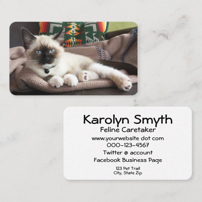Pet Service Glamour Kitten Fotovorlage Visitenkarte (Vorne/Hinten)