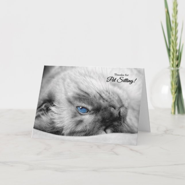Pet Sitter Vielen Dank Siamese Cat Dankeskarte (Vorderseite)