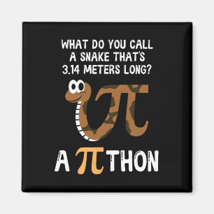 Pet Snake Math Pi Day Python Magnet