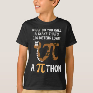 Pet Snake Math Pi Day Python T-Shirt