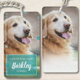 Pet sympathie perte animal chien animal chien souv