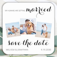Pet Wedding 3 Foto Collage Dog Save the Date