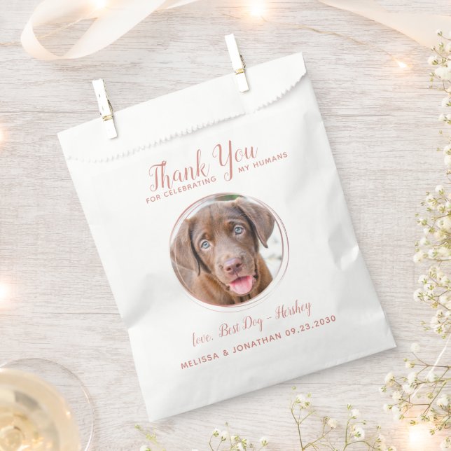 Pet Wedding Modern Rose Gold Hund Foto Vielen Dank Geschenktütchen (Ausgeschnitten)