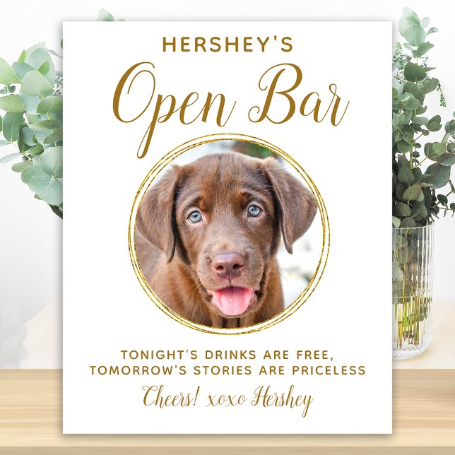 Pet Wedding Open Bar Dog Foto Elegante Gold Drinks Poster (Von Creator hochgeladen)