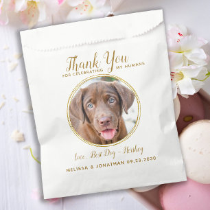 Pet Wedding Vielen Dank Custom Foto Elegante Gold Geschenktütchen