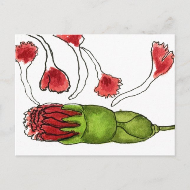 "Petal Fall #1" florale Postkarte (Vorderseite)