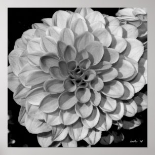 Petal Pattern Poster