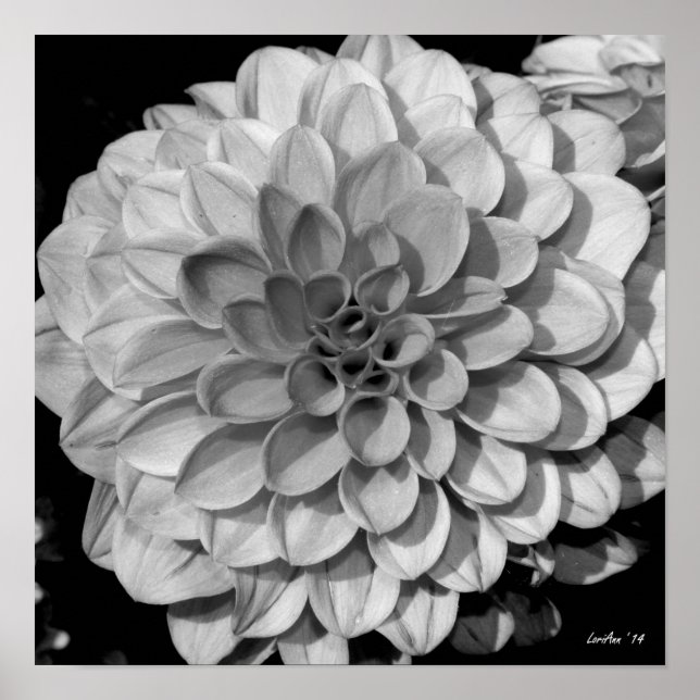 Petal Pattern Poster (Vorne)