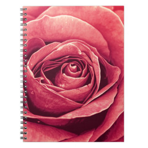 Petale der Rose Notizblock