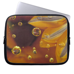 Petalen auf der reflektierenden Oberfläche von Myl Laptopschutzhülle