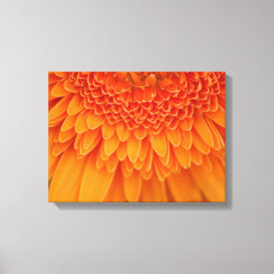 Pétales de fleurs - Toile Enveloppée