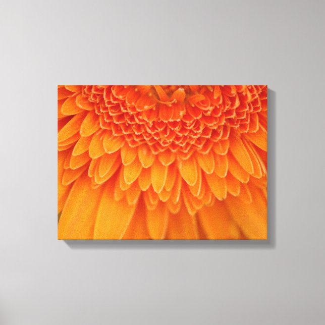 Pétales de fleurs - Toile Enveloppée (Recto)