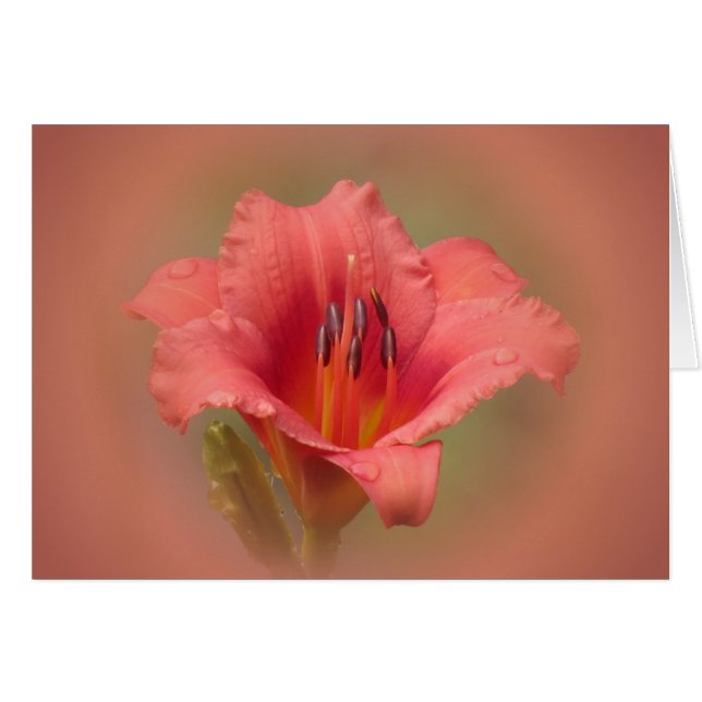 Pétales de fraises (Devant horizontal)