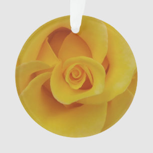 Pétales de rose jaune romantiques