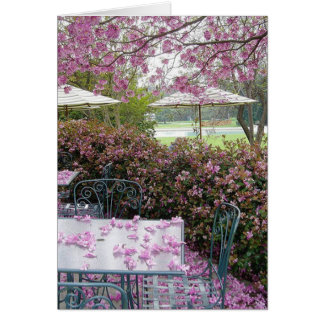 pétales en abondance