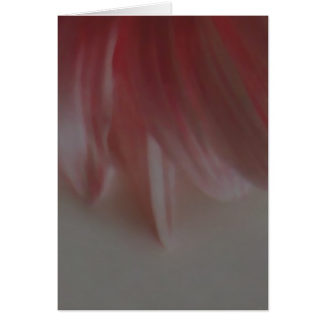 Petals ~ Karte / Einladungen (Vorne)