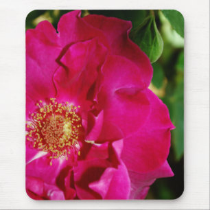 Petals von Summer Mousepad