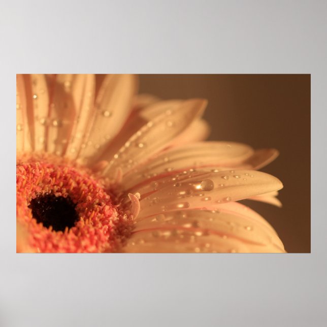 Petaltropfen Poster (Vorne)