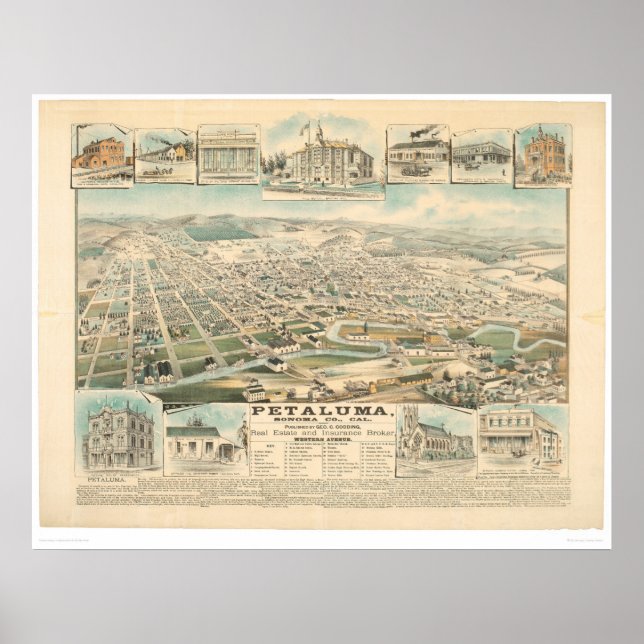 Petaluma, CA. (1314A) Poster (Vorne)