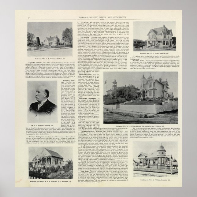 Petaluma Residences, Kalifornien Poster (Vorne)