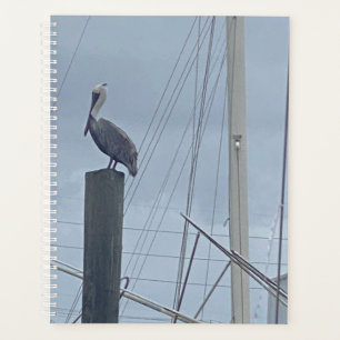 Pete the Pelican Planer