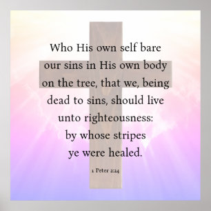 Peter 2:24 poster