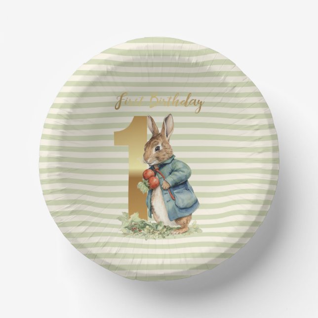 Peter das Kaninchen Gemüse pflücken ersten Geburts Pappteller (Vorderseite)