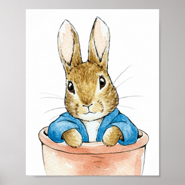 Peter das Kaninchen sitzt in Pflanze Pot Poster (Vorne)
