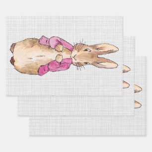 Peter der Rabbit Pink Jacket Gray Linen Geschenkpapier Set