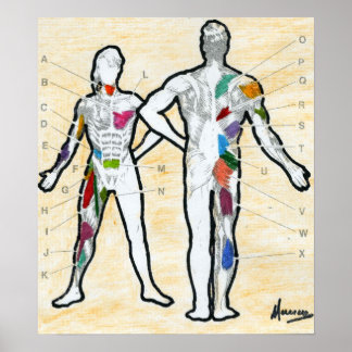 Peter Max Stil signierte Muskeldiagramme zeichnend Poster