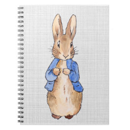 Peter mit grauem Linenhintergrund Notizblock