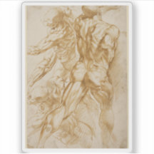 Peter Paul Rubens - Anatomische Studien