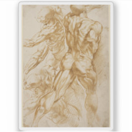 Peter Paul Rubens - Anatomische Studien Aufkleber