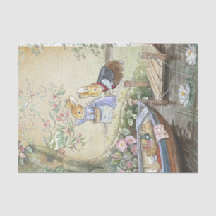 Peter Rabbit 11 Seidenpapier