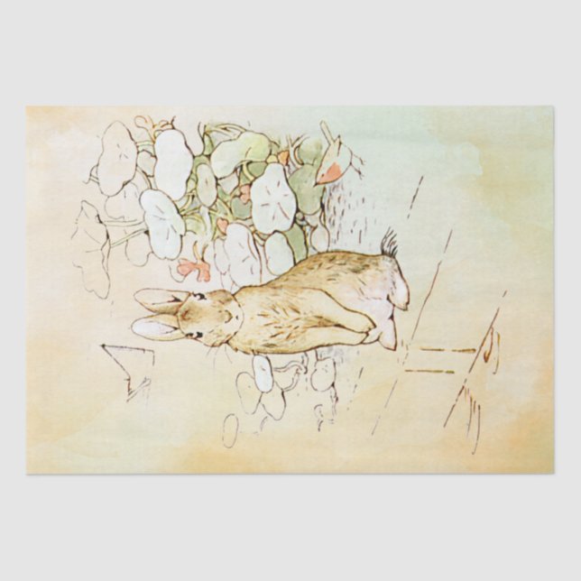 Peter Rabbit 2 Tissue Paper Seidenpapier (Vorderseite)